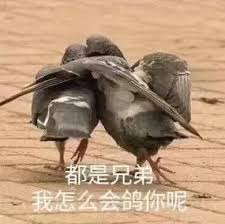 改编版“放鸽子”行为定义解析