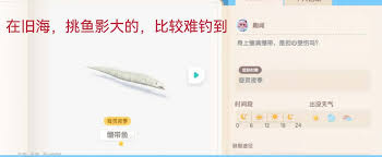心动小镇潮流季奇灵夜：全新鱼类惊喜登场，垂钓爱好者不容错过！