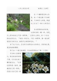 家兴百和与家兴百合哪个更好？一文解析助您选择！