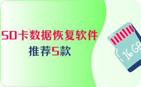 2023年必备！顶尖SD卡修复软件大，一键恢复数据轻松搞定！