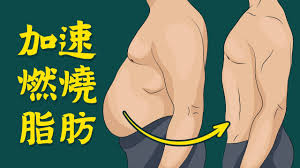 改进纽仕康脂肪燃烧弹效果