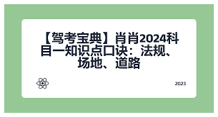 科目一考试34次未过，驾考水平引关注