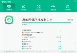 一键解锁：农行专业版网银USBKEY高效登录指南