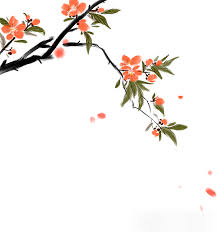 寒木春华背后的神秘生肖，点击解锁惊喜答案！