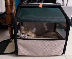 猫包网改编真实性探究：热门话题背后的真相