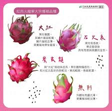 火龙果与密宝：口感、营养与独特魅力的惊人差异
