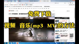 MP5电影下载全攻略：热门网站推荐，轻松获取心仪影片！