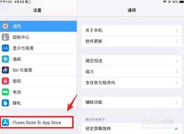 iPad下载软件教程：详细步骤指南