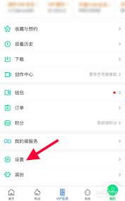 爱奇艺限制他人登录方法全解析