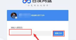 电脑百度网盘：如何输入链接高效下载