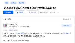 青春领航者：共青团市委科员的角色魅力与职责担当