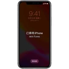 iphone显示已停用怎么办
