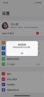 原来iCloud连接服务器时出现错误怎么办