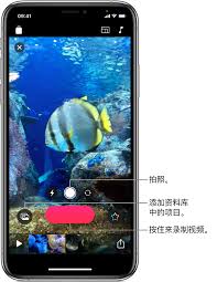 惊！iPhone 竟能这样操作，录制视频时轻松拍照，速来围观！