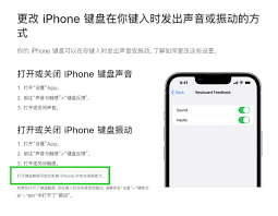 如何关闭iphone按键触感