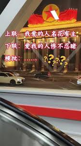 爱我的人还在寻寻觅觅