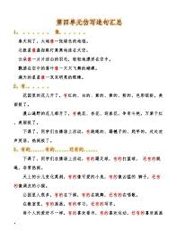 绝美绽放：人比花娇，惊艳你的视界！