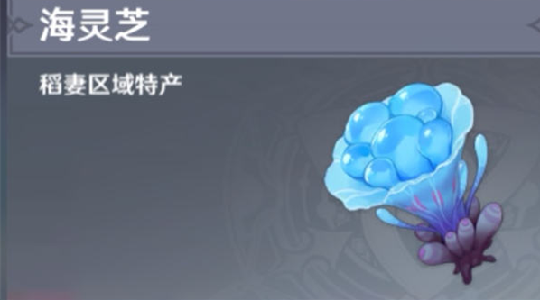 原神海灵芝采集路线在哪