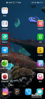 震惊！享道出行查看开票记录竟有如此简单高效的方法！