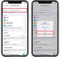 惊了！iPhone 密码忘了咋整？速看这招轻松搞定！