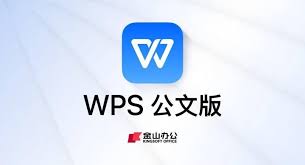 惊爆！你知道 WPS 到底是什么格式吗？快来一探究竟！