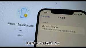 惊爆！苹果为何突然重新开放iOS 17.3.1验证通道？
