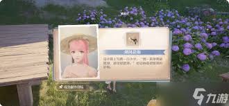 无限暖暖留于花间浮想限定池全解析，核心要点大