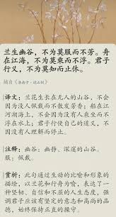 惊爆！舟渡苦海驱无涯，背后隐藏着怎样的神秘力量？