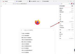火狐浏览器使用教程：从基础设置到高效浏览全掌握