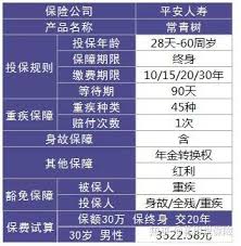 深度剖析：平安常青树的改进之处究竟是什么？