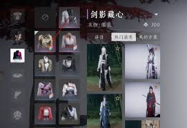 燕云十六声服装染色技巧：凸显文章核心要点