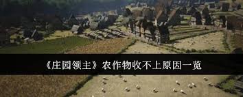 庄园领主农作物收不上？原因大