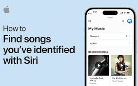 iPhone 中 Shazam 应用程序无法运行？快来看如何修复！