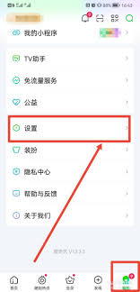 爱奇艺如何有效祛除水印
