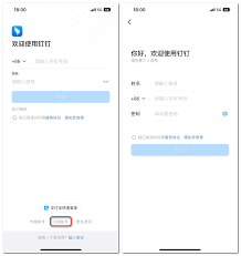 惊爆！钉钉号登录指南大，原来这么简单！