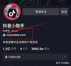 惊爆！抖音蓝V认证背后的惊人秘密，你知道为什么一定要做吗？
