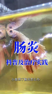 斗鱼深海鱼黑历史5分钟：背后惊人内幕全曝光