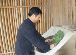 中国十大富硒茶品牌全解析，突出核心优势与特色
