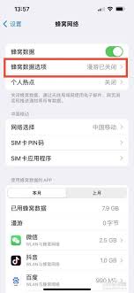 惊爆！苹果手机4G与5G切换秘籍大公开，速来解锁超流畅体验！
