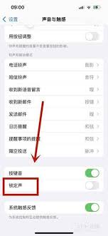 惊爆！苹果 13 锁屏声音竟能这样改，你知道吗？