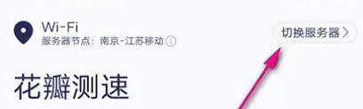 花瓣测速：如何设置最快节点及测速单位教程