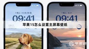 苹果15墙纸设置教程：核心要点大凸显