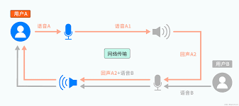 苹果11消除回音超详细操作过程全解析