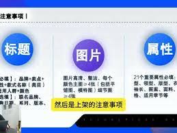惊爆！速看！得物投诉商家地址究竟怎么写才能一击即中？