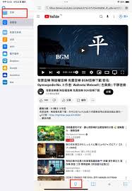 惊爆！iPad 下载 YouTube 视频超详细教程大公开，速来！