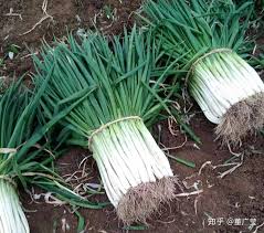 辣椒大葱大幅涨价，背后原因究竟为何？
