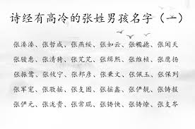 好听高雅的张姓取名推荐