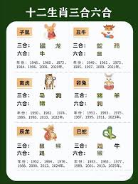 十二生肖白小姐生日相关信息大