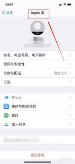双 iPhone 同步方法大，凸显核心要点超高效