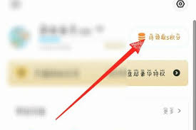 百度网盘电脑端如何使用极速下载券